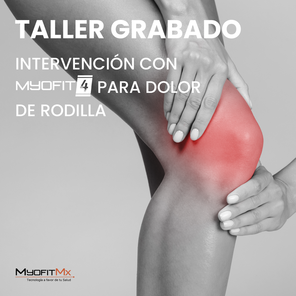 Myofit Myofit 4, Electroestimulador Muscular – Myofit mx